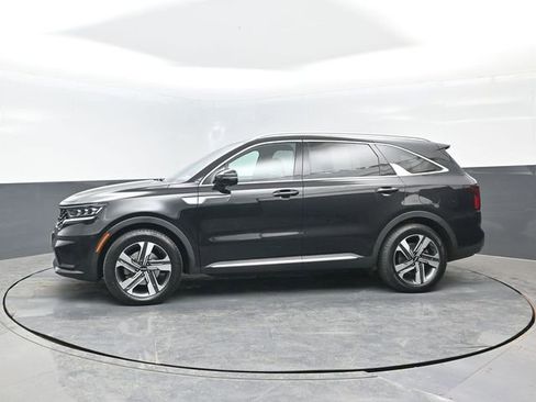 Used 2023 Kia Sorento SX Prestige AWD/4WD image 4