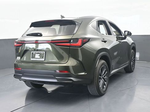Used 2025 Lexus NX 250 FWD w/ Cold Area Package image 5