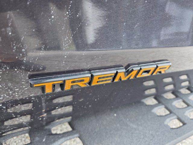 Used 2025 Ford Expedition Tremor AWD/4WD image 22