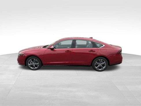 Used 2025 Honda Accord EX-L image 5