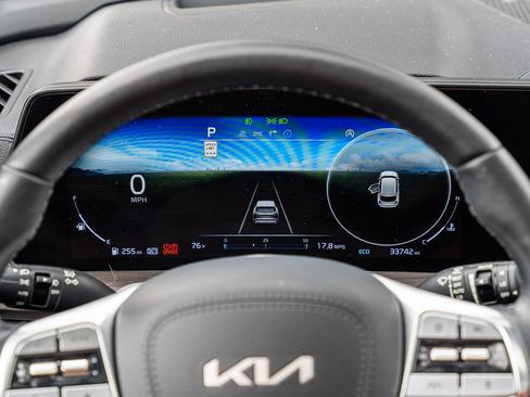 Used 2025 Kia Telluride SX Prestige X-Line AWD/4WD image 24