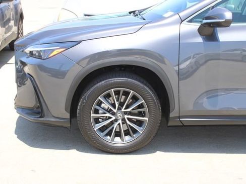Certified 2025 Lexus NX 250 AWD w/ Cold Area Package image 4