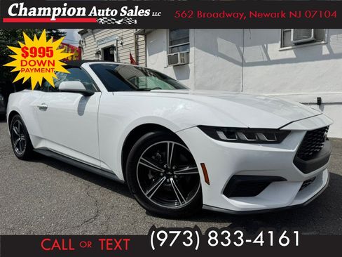 Used 2024 Ford Mustang Premium RWD image 1