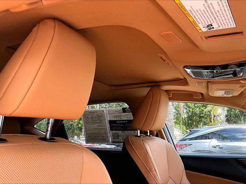 Used 2025 Lexus NX 250 FWD w/ Cold Area Package image 13