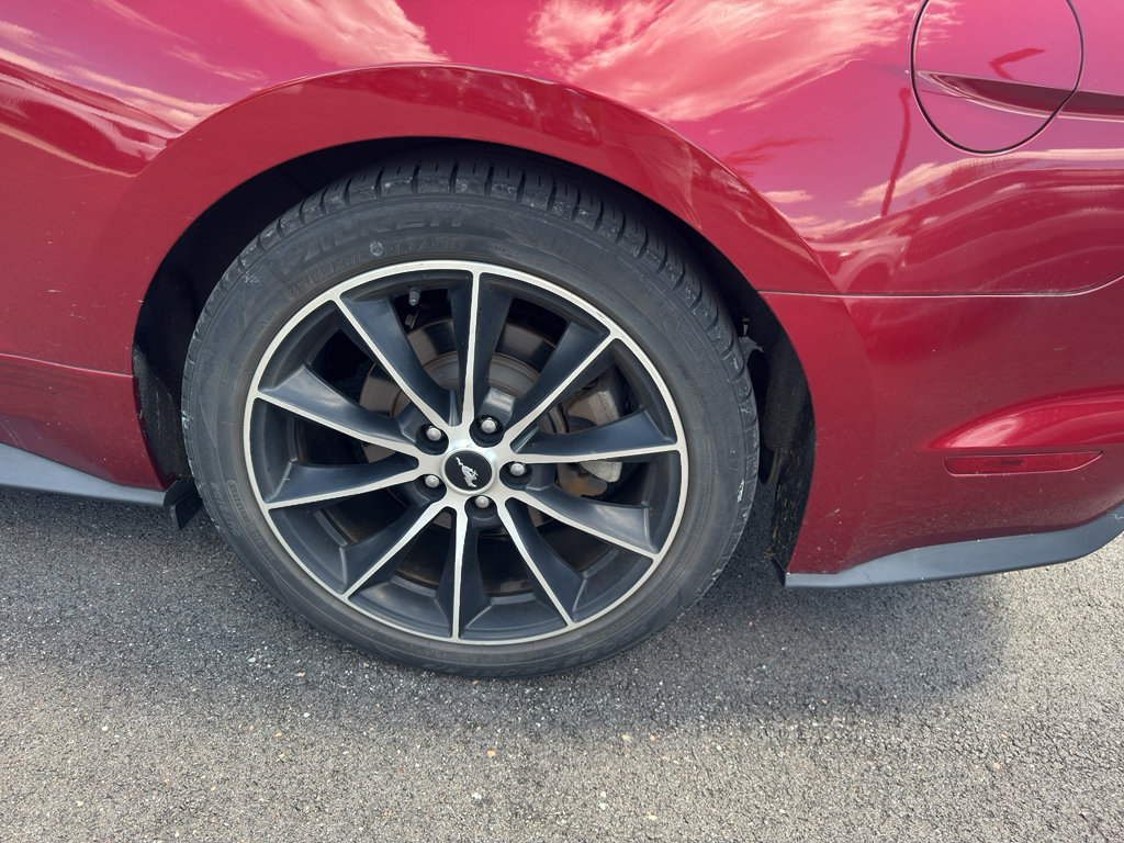 Used 2017 Ford Mustang Premium w/ Wheel & Stripe Package RWD image 8