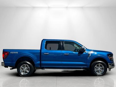 Used 2025 Ford F150 XLT w/ Equipment Group 301A Standard