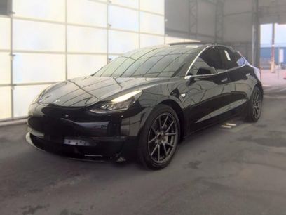 Used 2019 Tesla Model 3 Long Range