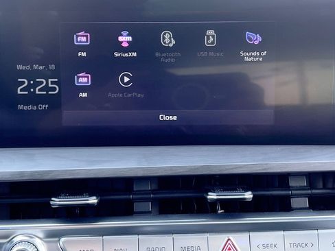 Used 2023 Kia Telluride SX Prestige X-Pro image 35