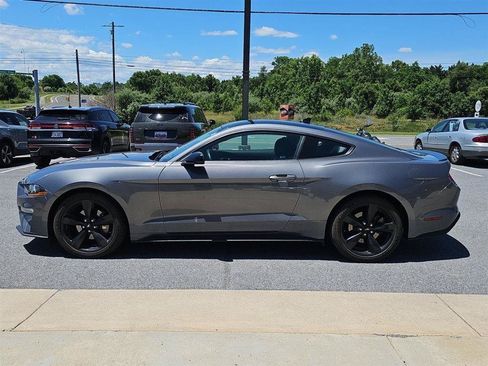 Used 2023 Ford Mustang Premium w/ Mustang Nite Pony Package RWD image 3
