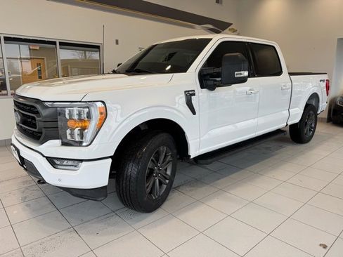 Used 2023 Ford F150 XLT w/ Equipment Group 302A High image 3