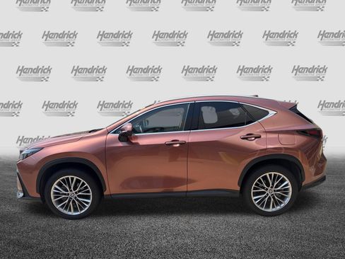 Certified 2025 Lexus NX 350 AWD w/ Cold Area Package image 7