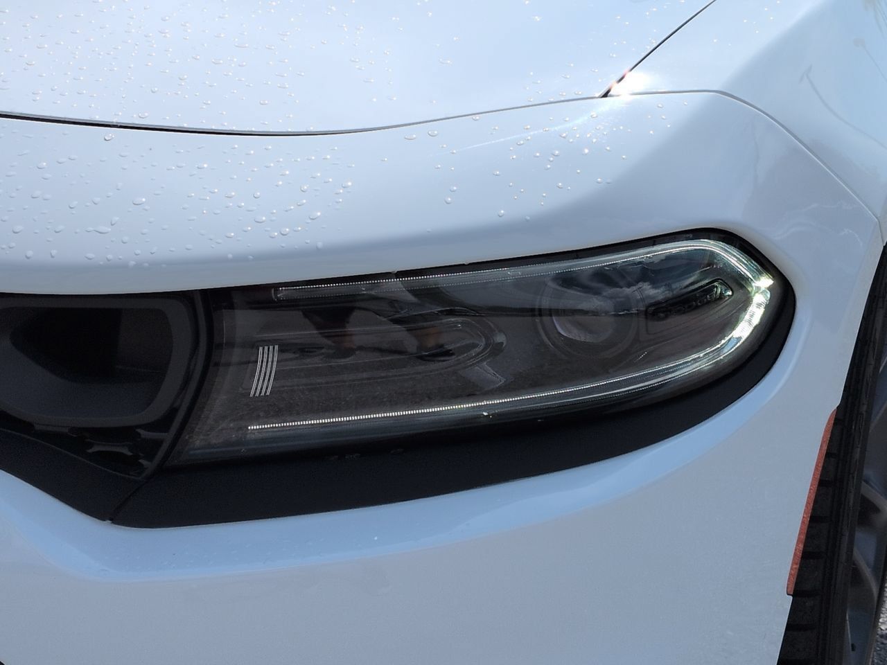 Used 2023 Dodge Charger Scat Pack w/ Plus Group RWD image 10
