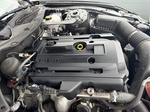 Used 2019 Ford Mustang Convertible image 13