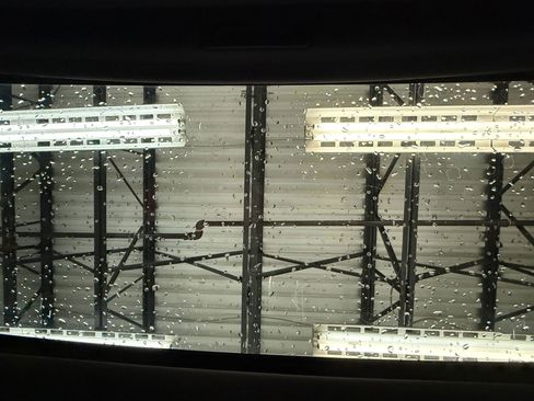 Used 2010 Ford F150 Raptor image 37