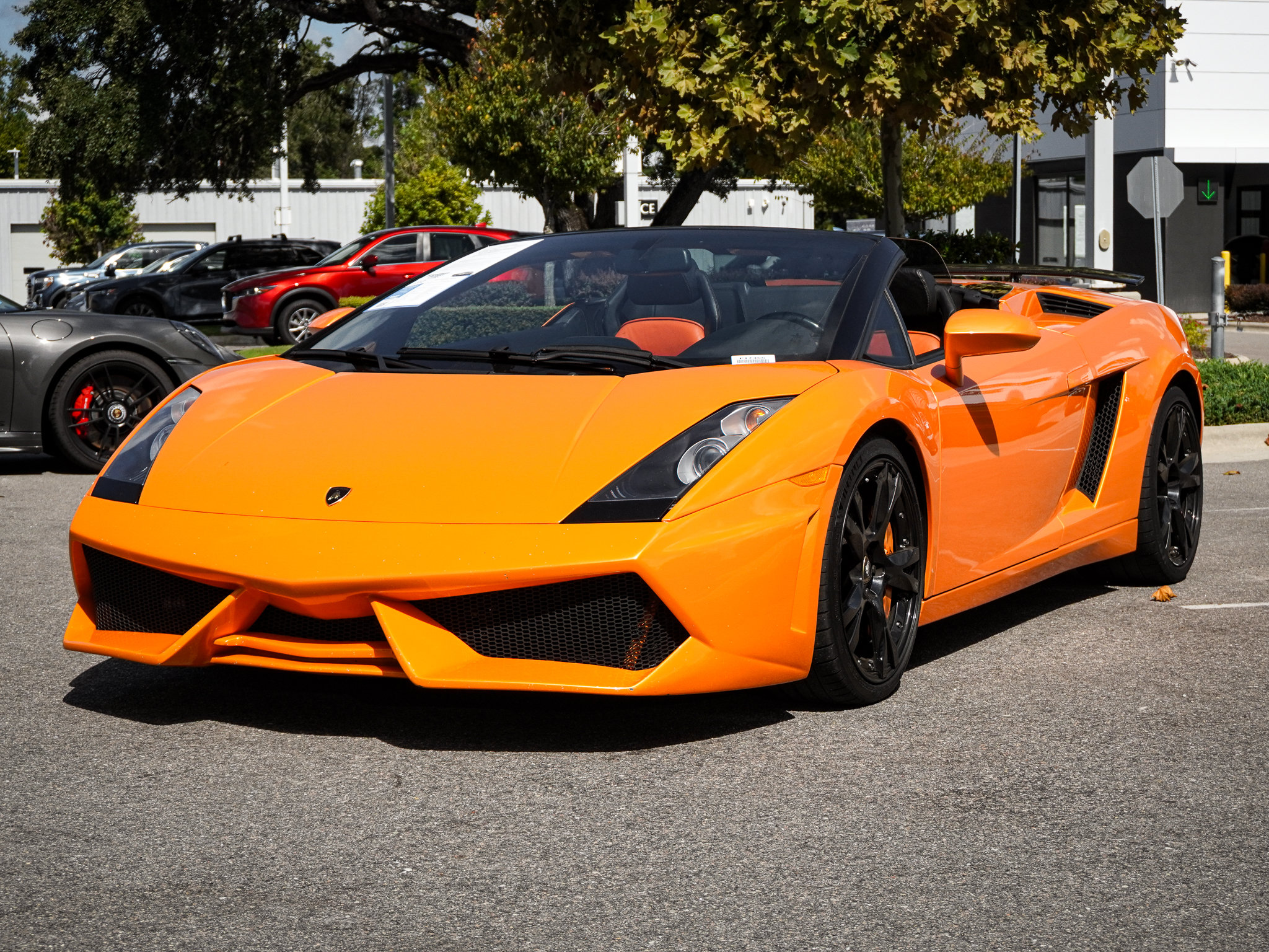 Used 2008 Lamborghini Gallardo Spyder AWD/4WD image 5