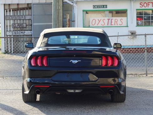 Used 2020 Ford Mustang Premium image 7