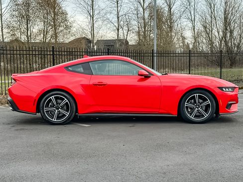 Used 2024 Ford Mustang Premium image 2