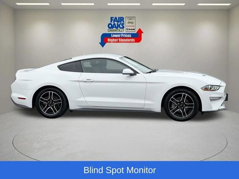 Used 2019 Ford Mustang Coupe w/ Equipment Group 101A RWD image 6