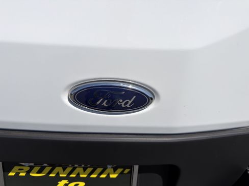 Used 2025 Ford Transit 250 Low Roof w/ Exterior Upgrade Package RWD image 36