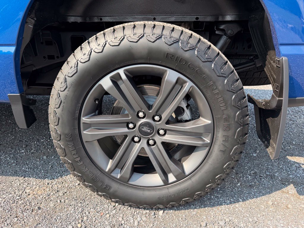 Used 2023 Ford F150 XLT w/ Equipment Group 302A High AWD/4WD image 15