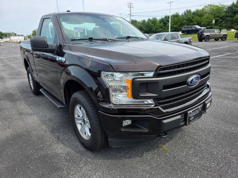 Used 2019 Ford F150 XL w/ Equipment Group 101A Mid AWD/4WD image 7