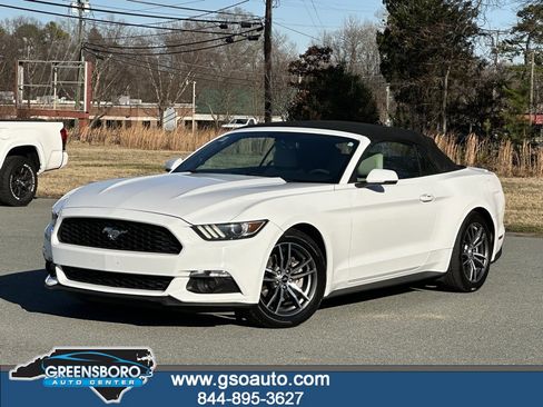 Used 2017 Ford Mustang Premium image 1