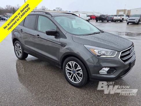 Used 2019 Ford Escape SE image 4
