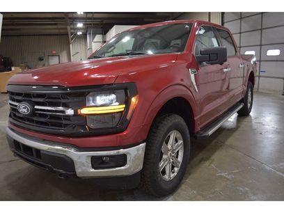 New 2024 Ford F150 XLT w/ Mobile Office Package