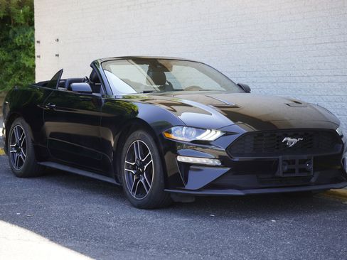 Used 2023 Ford Mustang Premium w/ Equipment Group 201A RWD image 16