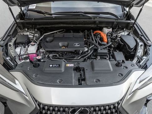 Used 2025 Lexus NX 350h AWD w/ Premium Package image 15