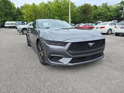 Used 2025 Ford Mustang Premium