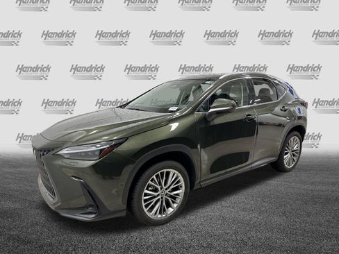 Used 2025 Lexus NX 350h AWD w/ Accessory Package (2T) image 5