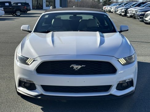 Used 2017 Ford Mustang Premium image 11