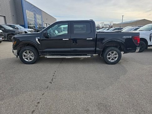 Used 2025 Ford F150 XLT w/ Equipment Group 301A Standard image 3