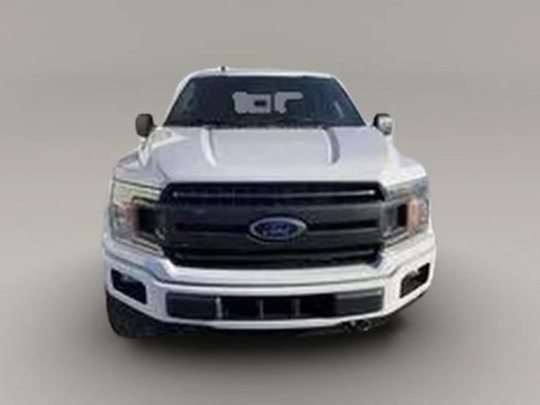 Used 2019 Ford F150 XLT w/ Equipment Group 302A Luxury AWD/4WD image 1