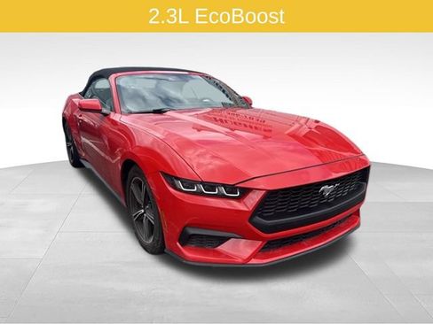 Used 2024 Ford Mustang Premium RWD image 1