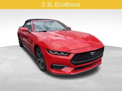 Used 2024 Ford Mustang Premium