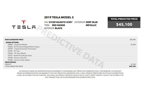 Used 2019 Tesla Model 3 Standard Range Plus image 2