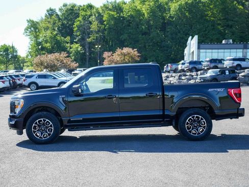 Certified 2023 Ford F150 XLT w/ Equipment Group 302A High AWD/4WD image 8
