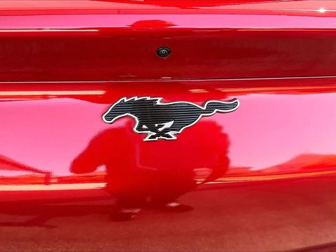 Used 2021 Ford Mustang Mach-E Premium AWD/4WD image 30