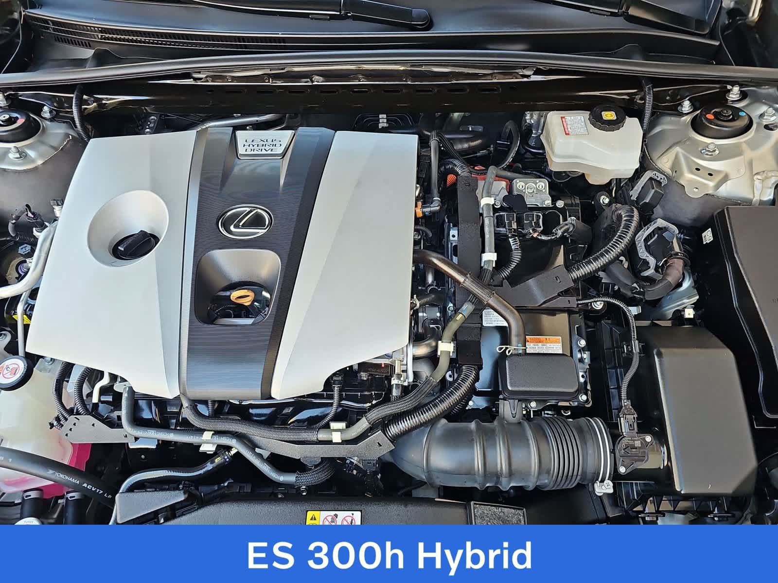 Used 2019 Lexus ES 300h w/ Premium Package FWD image 13