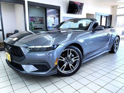 Used 2025 Ford Mustang Premium w/ Wheel & Stripe Package