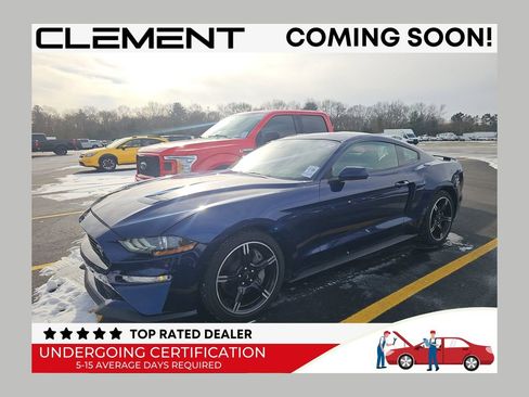 Used 2019 Ford Mustang GT Premium w/ Equipment Group 401A image 1