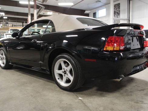 Used 1999 Ford Mustang Cobra RWD image 4