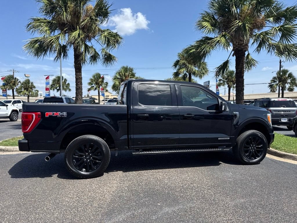 Used 2023 Ford F150 XLT w/ Equipment Group 302A High AWD/4WD image 5