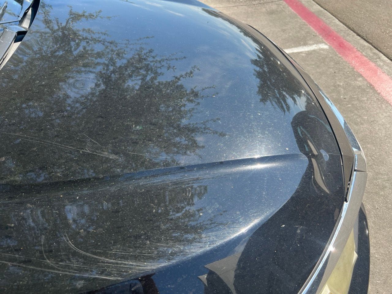 Used 2016 Honda Civic LX-P image 8
