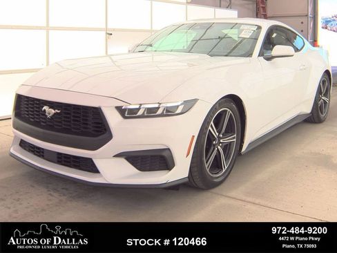 Used 2024 Ford Mustang Premium image 1