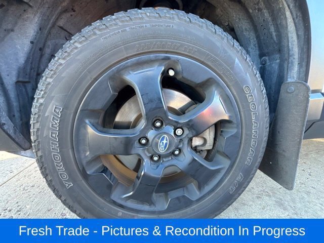 Used 2024 Subaru Forester Wilderness AWD/4WD image 9