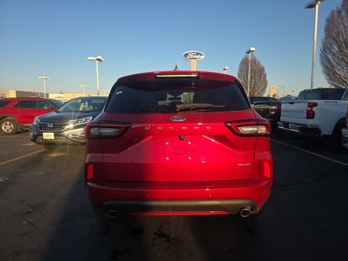 Used 2024 Ford Escape ST-Line w/ Tech Pack #1 image 5