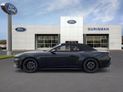 New 2025 Ford Mustang Convertible w/ Mustang Nite Pony Package